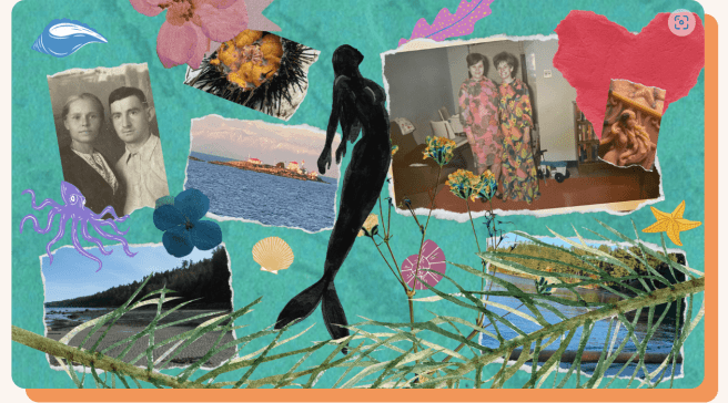 Photo montage. Orly Zebak.